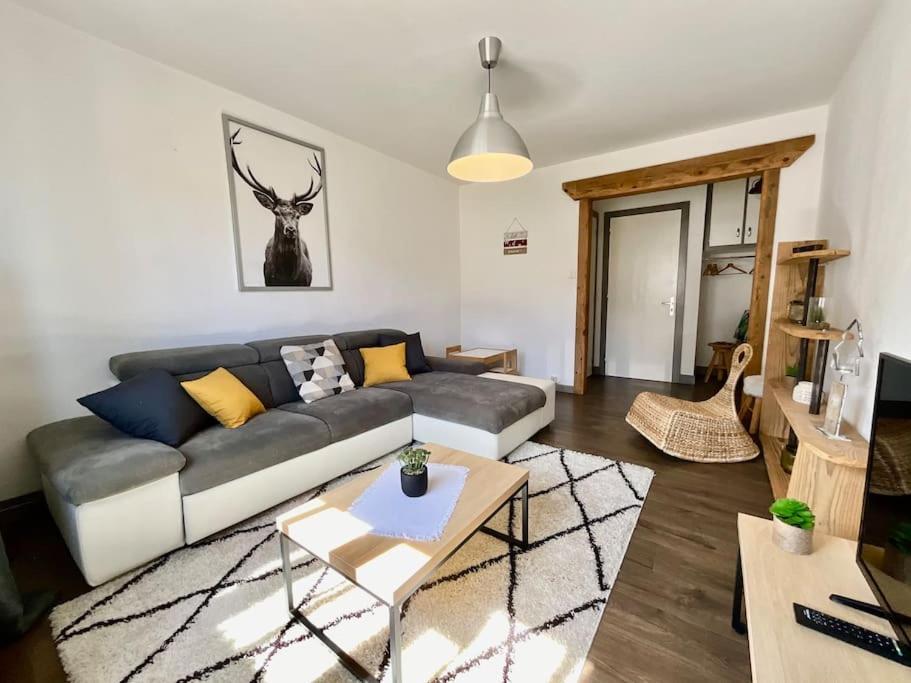 Epicea, Bel Appartement Avec Balcon Au Centre Ville ジェラールメ エクステリア 写真